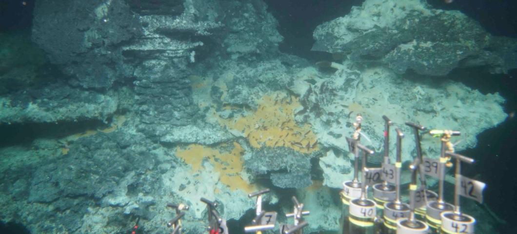 Guaymas Vent in the Gulf of California 