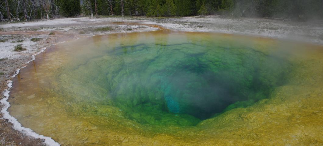 Morning Glory Pool in Yellowstone 