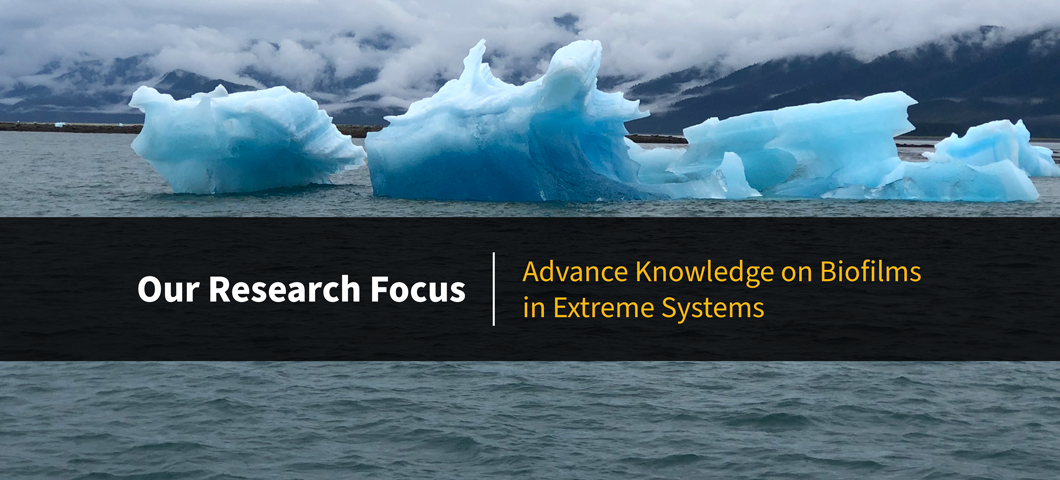A photo of an iceberg taken in Alaska with text on top that says, "Our Research Focus: Advance Knowledge on Biofilms in Extreme Systems." Photo by Christine Foreman. 