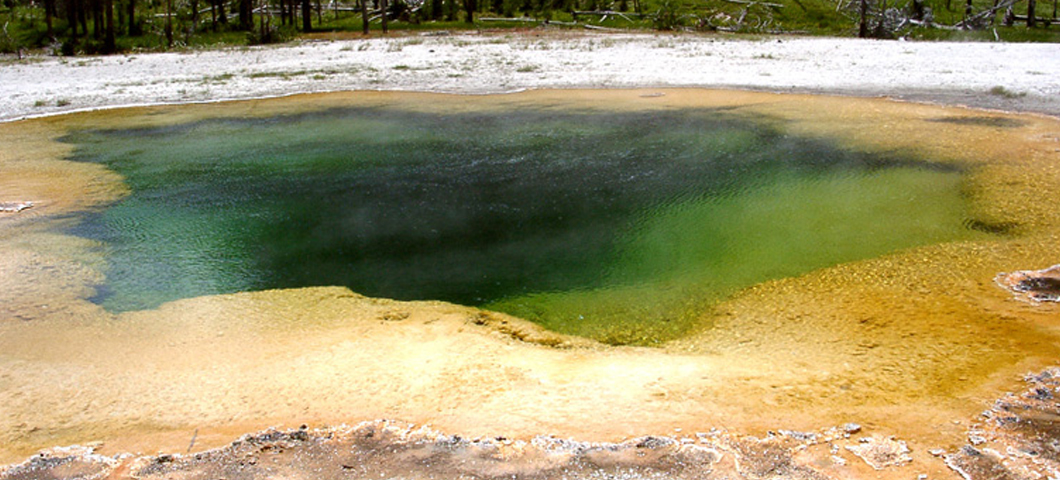 Image of one of the hot spring where TBI researchers sample.
