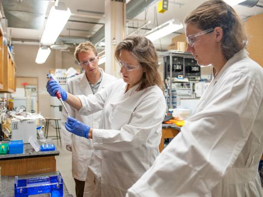 Image of a undergraduate and two graduates pipetting in the laboratory.