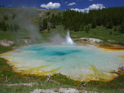 Imperial Geyser