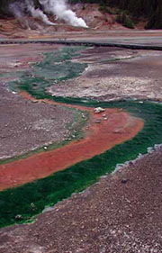 Image of thermal hotspring.