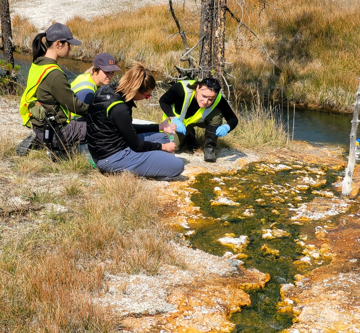 Image of NRT trainees working in Yellowstone National Park during the 'Frontiers in Extreme Biofilms' course. 
