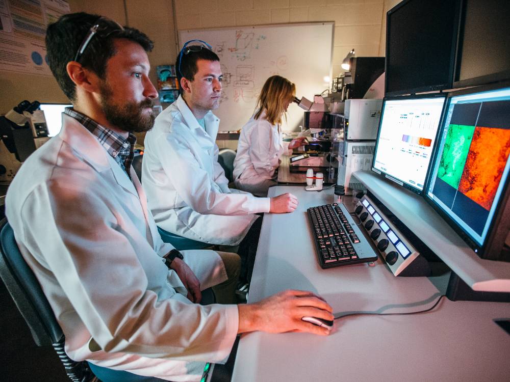 Image of students in microscopy lab.