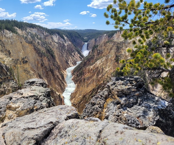 Photo of Yellowstone National Park with flowing waterfall in distance.
